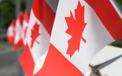 Veckans tema: nedrustning, demobilisering, repatriering, återflyttning och återanpassning