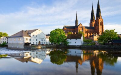 Seminarium 25 november- Kvinnor i fredsrörelse