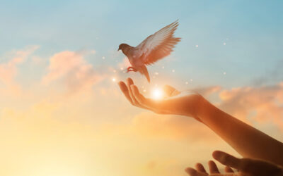 Operation 1325:s verksamhet större än någonsin