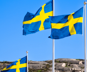 FILM OCH DIALOG OM VÅRT SVERIGE