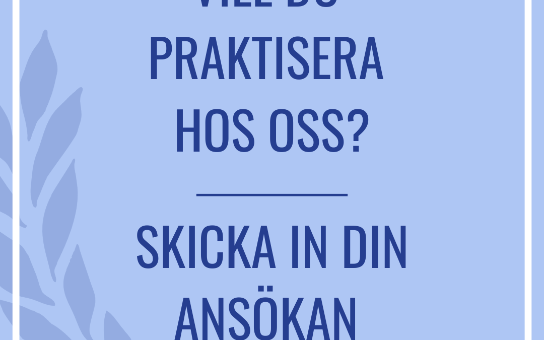 PRAKTIKANNONS – VT2025